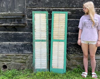 Antike Jalousie Fensterläden: Grün & Weiß Holz, Altholz, Architektur Bergung