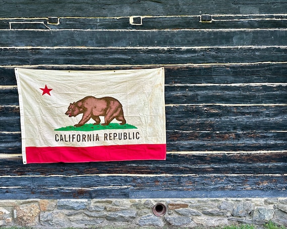 ヴィンテージ カリフォルニア ベア フラッグ: 茶染めの緑青