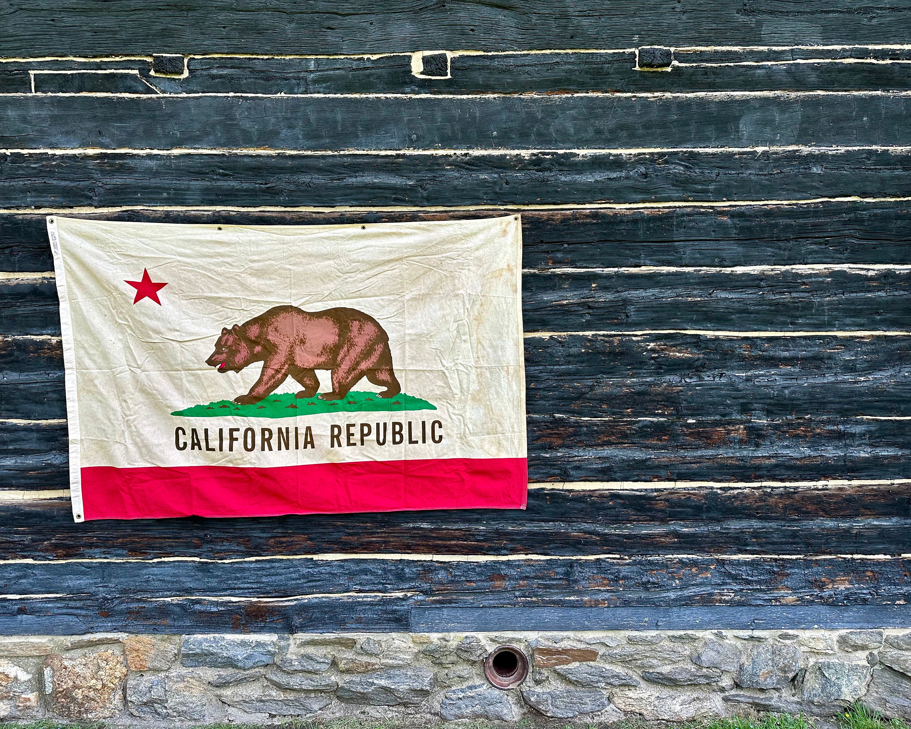 ヴィンテージ カリフォルニア ベア フラッグ: 茶染めの緑青