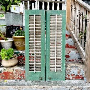 Puede incluir: Un par de contraventanas de madera verde con lamas blancas. Las contraventanas están cerradas y tienen herrajes decorativos. Las contraventanas están en un conjunto de escalones con plantas y macetas.