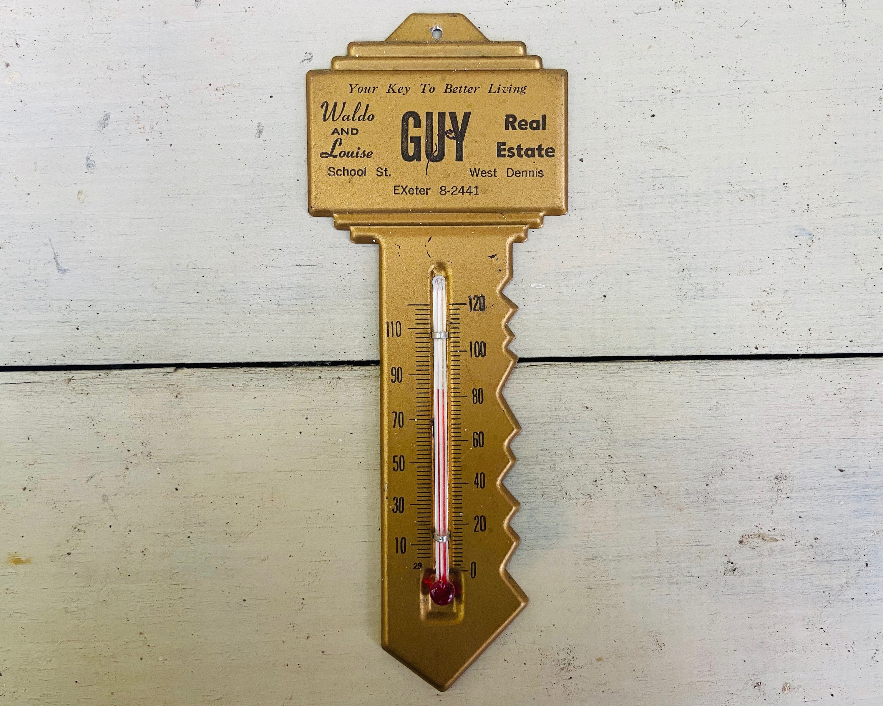 small key shaped instrument small key shaped instrument