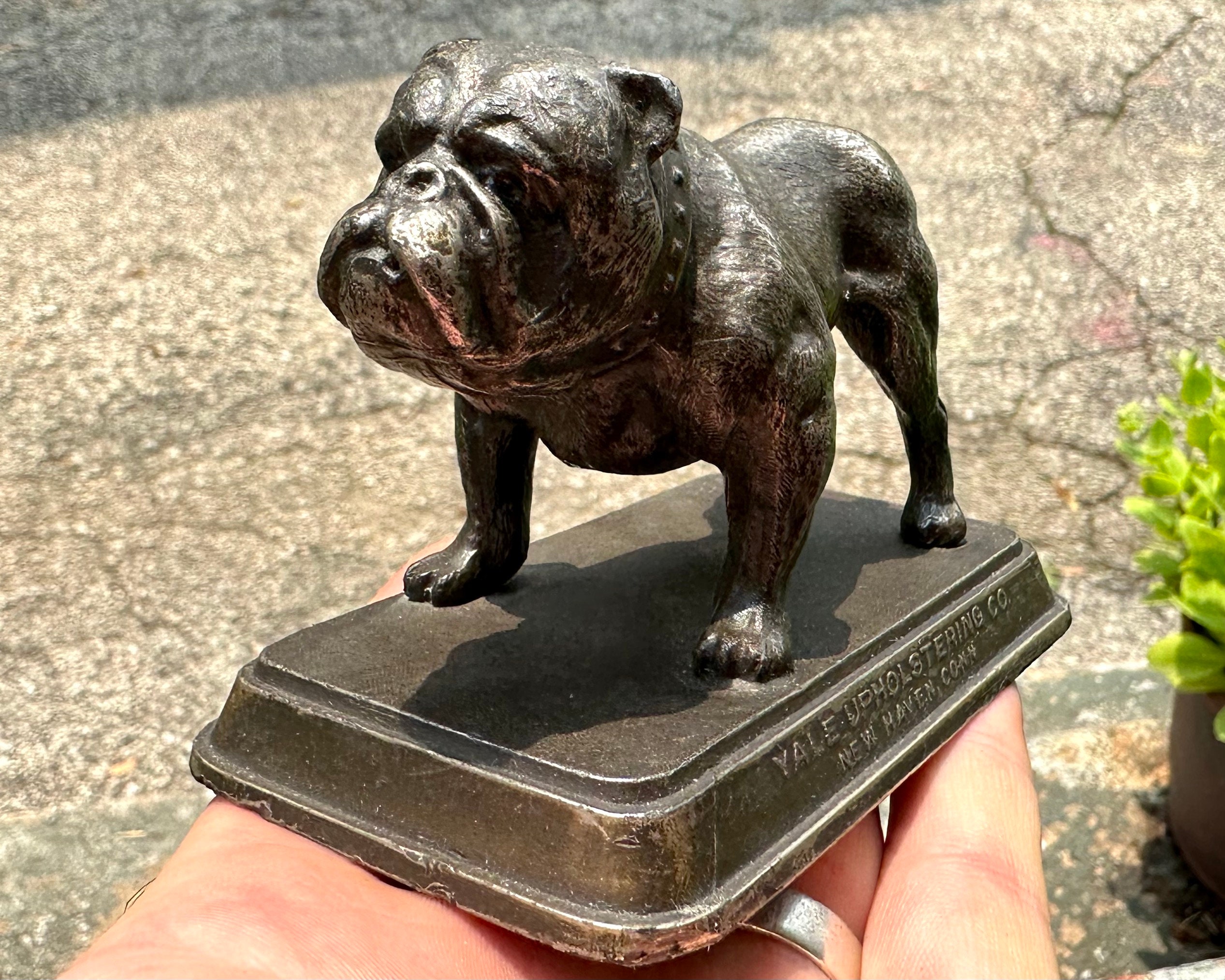 Amazon.com: liqiaofang Funny Bulldog Metal Garden Decor