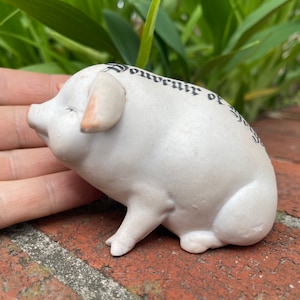 Puede incluir: Pequeña figura de cerdo de cerámica blanquecina, con hocico y orejas ligeramente rosadas. El cerdo tiene texto negro en un costado y está apoyado sobre su vientre. La figura se sostiene en una mano.