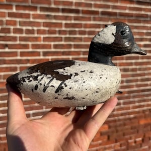 May include: A hand-painted wooden duck decoy with black, white and brown paint. The decoy has a white head with a black eye and a black beak.