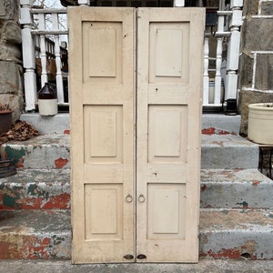 Antique Shutters, Wooden Panel Shutter Doors, Large Paneled Room Divider Separator, Old Shutters Original Hardware, Architectural Salvage