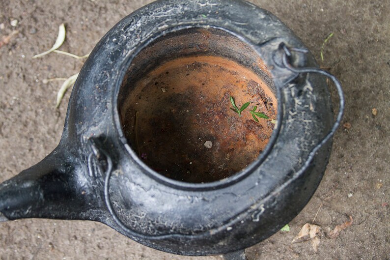 Vintage Cast Iron Kettle With Stand Flower Pot Planter Plant Etsy