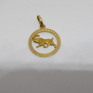 May include: A gold-colored pendant featuring a detailed depiction of the Capricorn zodiac sign, a goat with horns, within a circular frame.