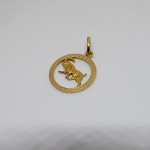 May include: Gold-toned pendant featuring a detailed depiction of the Capricorn zodiac sign, a goat with horns, within a circular frame.