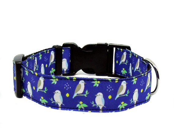 Bird dog on sale collar