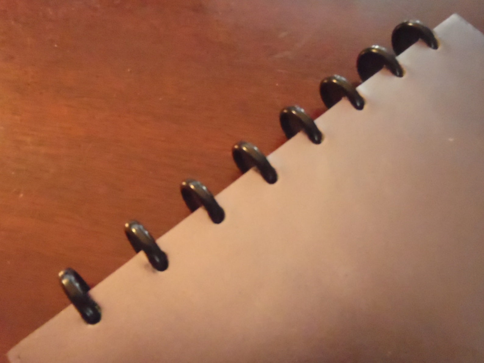 Binding Discs FIVE Sets of 11 Discs BLACK Etsy