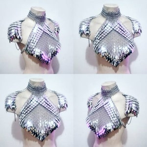 Scalemail and Chainmail Harness (Silver Mirror) *ONE OF A KIND*