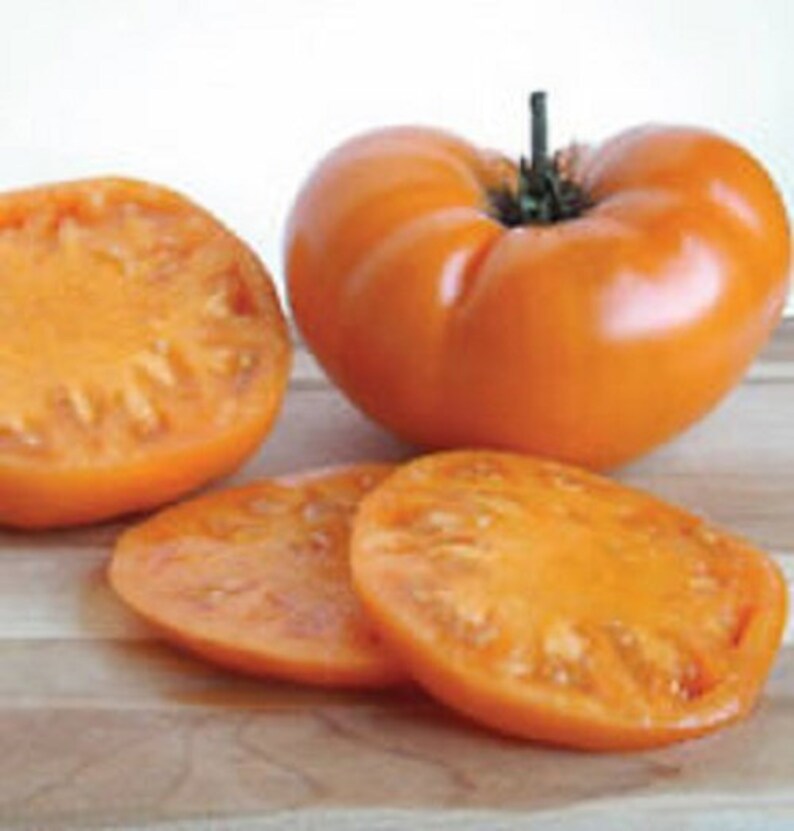 завтрак келлога. завтрак келлога. томат келлог брекфаст. завтрак келлога. томат завтрак келлога.