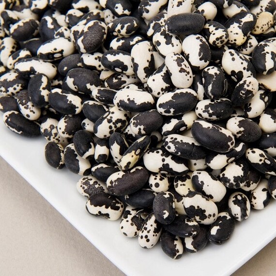 rare calypso Bush bean Heirloom 25 Orca Beans seeds Plants, Seeds