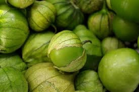 Image result for ripe toma verde