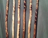 CUSTOM Morel Mushroom Walking Stick Personalize your own walking stick with your name