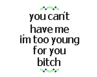 You Can't Have Me I'm Too Young For You B*tch - CROSS STITCH - Kits and Pillows - 8" x 10" - Embroidery - Needlepoint - DIY