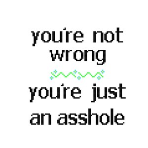 You're Not Wrong, You're Just An As*hole - CROSS STITCH - Kits and Pillows - 8" x 10" - Embroidery - Needlepoint - DIY