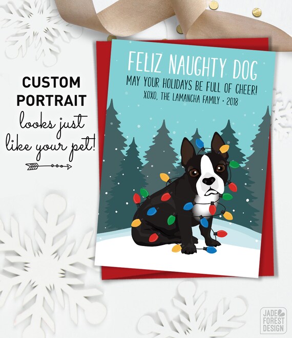 Pack Of 5 Dog Christmas Cards, Christmas Card Pack, Christmas