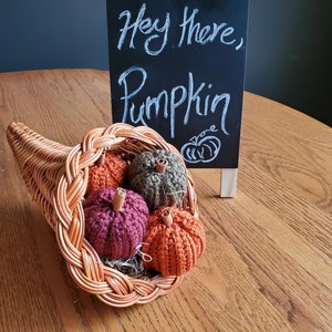 Haakpatroon: Cinna-Mini-pompoenen