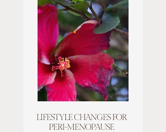 Lifestyle Changes for Peri-Menopause