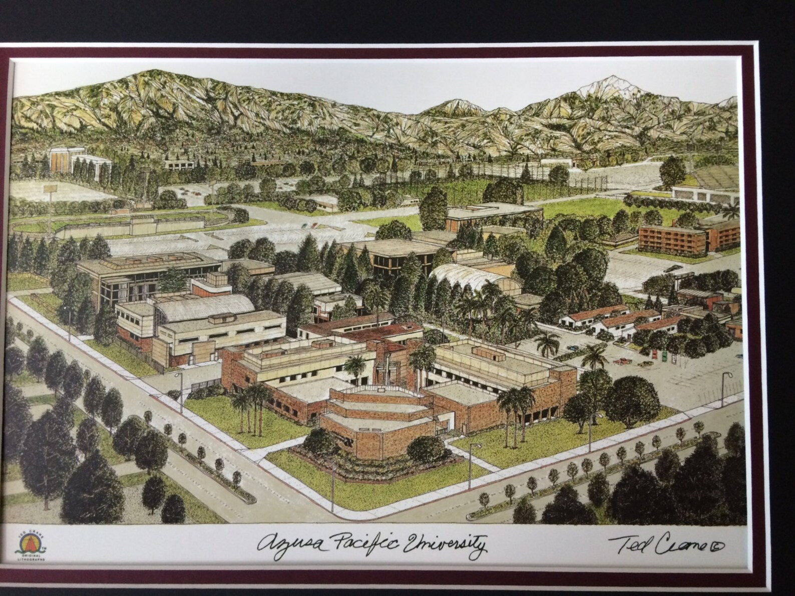 Azusa Pacific University Etsy