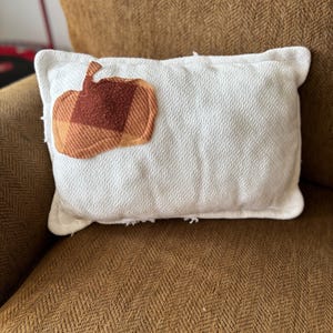 Pumpkin detail Quilt Pillow