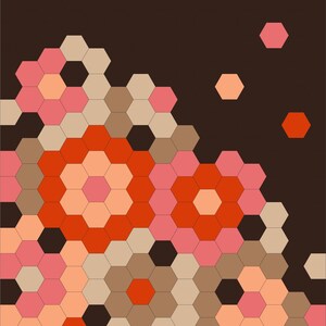Patrón de colcha hexagonal Sugarbag en PDF en tamaños para cojín, manta y queen. imagen 13
