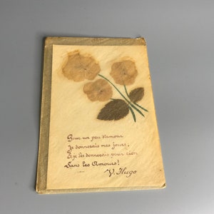 French vintage postcard dry flower in silky envelope poem Victor Hugo price is for one card