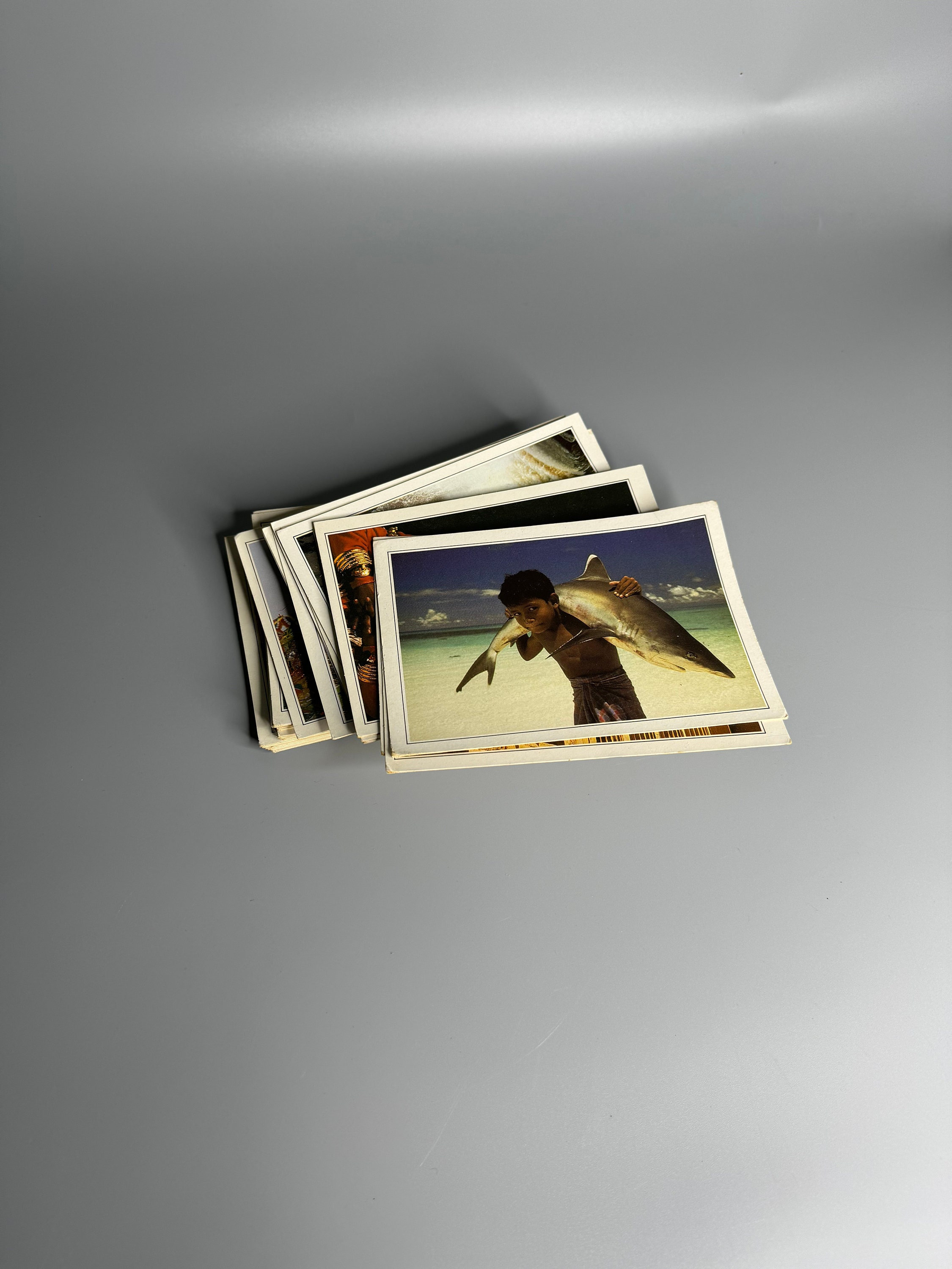 French Vintage Set of 51 Souvenir Cards With Descriptions