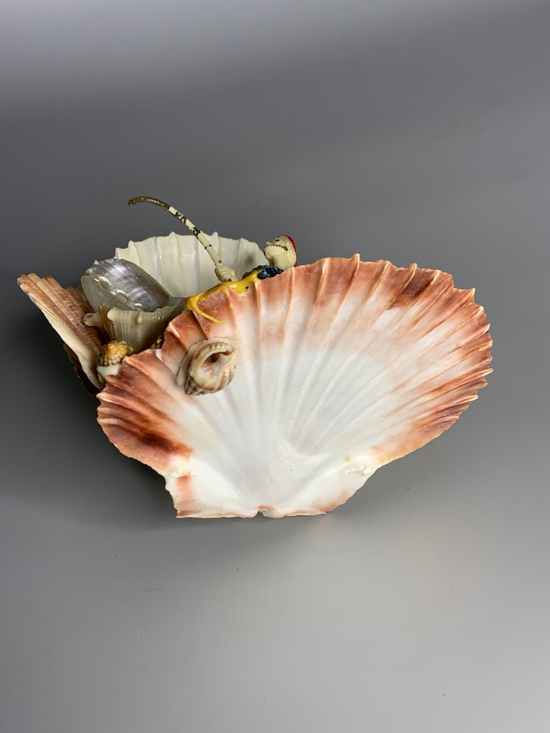 French Vintage Seashell Decoration Fisherman Design Beach Etsy