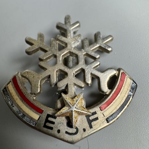 May include: A silver snowflake pin with a red, white, and blue stripe design and a star in the center. The pin says "E.S.F."