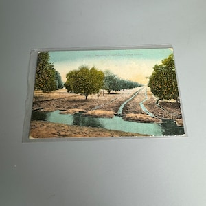 Antique California Orange Grove used postcard year 1911