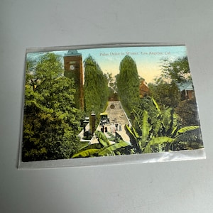 Cartão postal vintage Palm Drive no inverno Los Angeles Califórnia