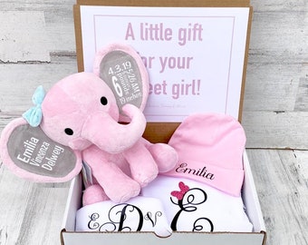 Newborn Baby Gift Box - Personalized Elephant, Onesie, Bib, and Beanie - Newborn Box of Gifts - Baby Statistics and Personalized Attire