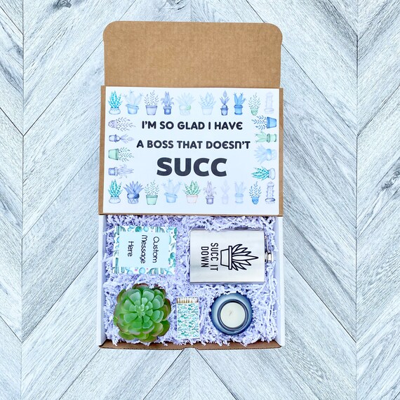 Succulent Gift Box: Funny Boss Gift with Candle & Matches