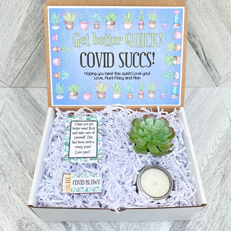 Succulent Gift Box COVID SUCCS Feel Better Covid Gift Box Etsy