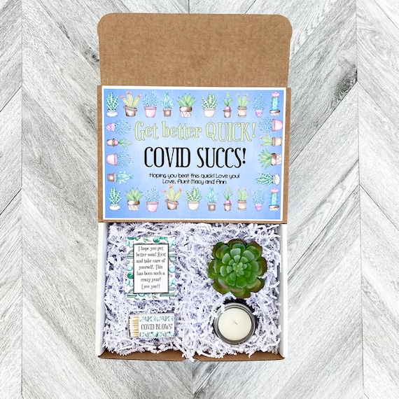 Succulent Gift Box - COVID SUCCS feel better - Covid Gift Box Set  - Get well soon