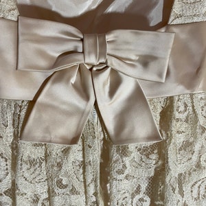 Early 1960s Special Occasion gown