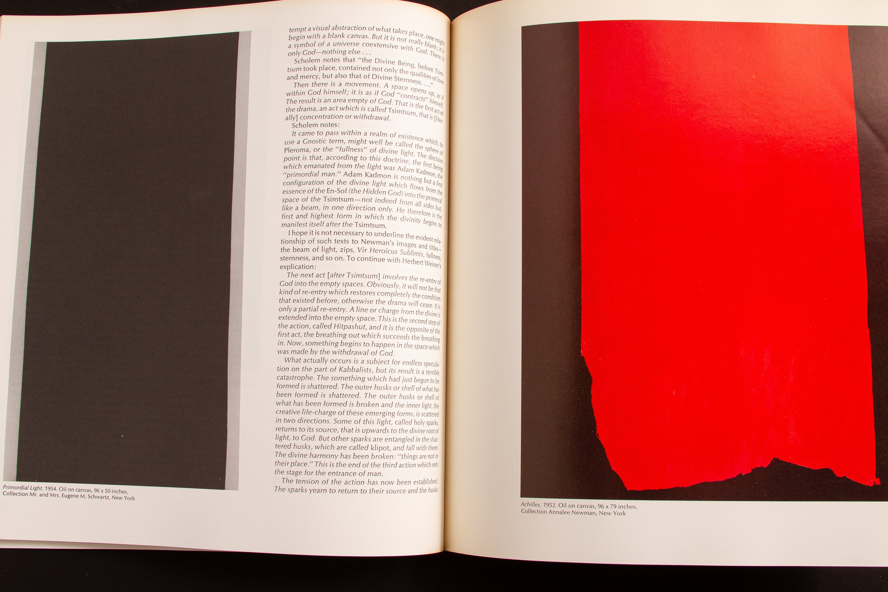 Barnett Newman (1971, Thomas B. Hess) the Museum of Modern Art - Etsy