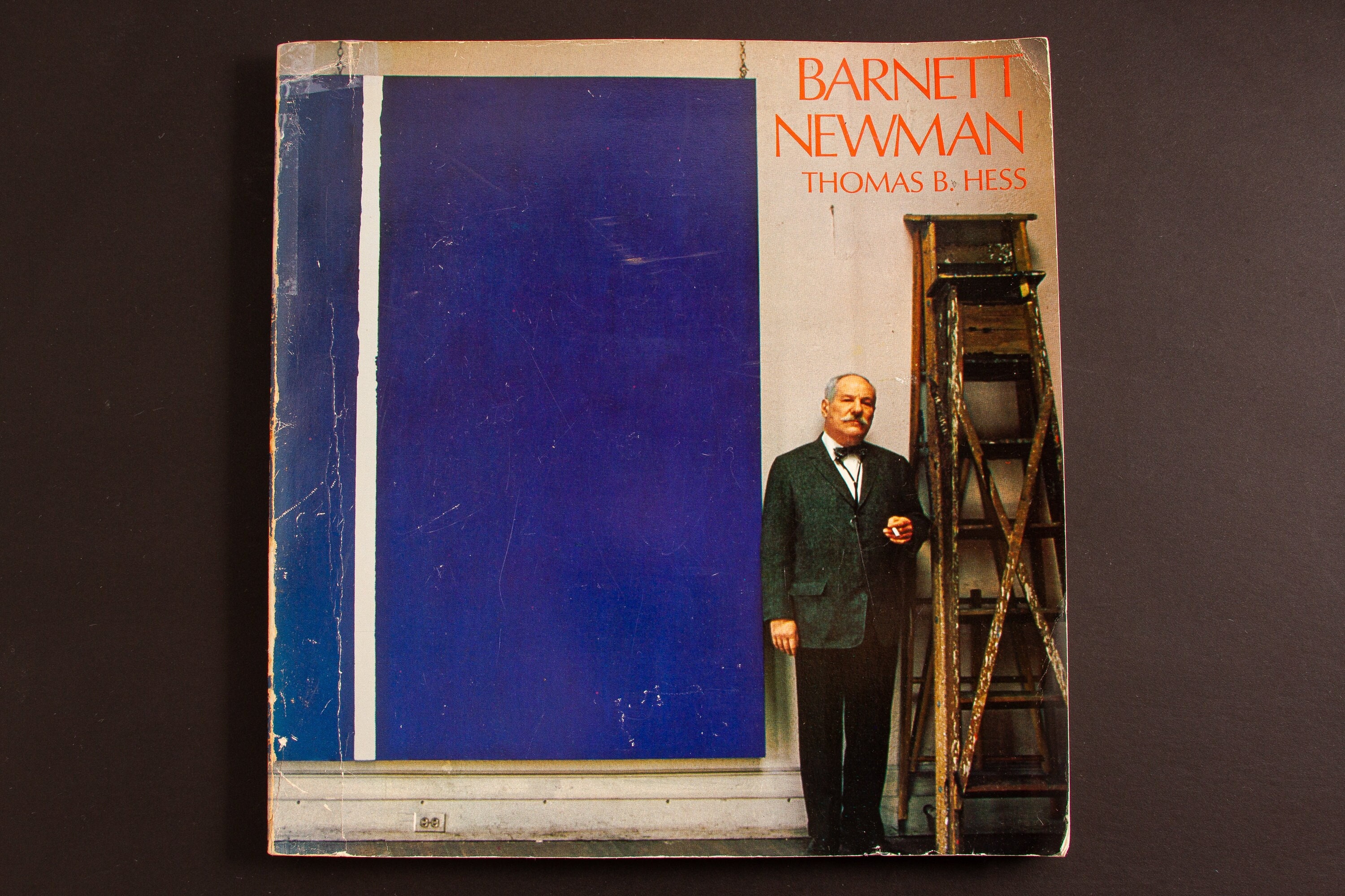 Barnett Newman (1971, Thomas B. Hess) the Museum of Modern Art - Etsy