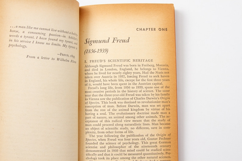 A Primer of Freudian Psychology (1955, Hall) Mentor Book Series | 50s Psychoanalysis image 7