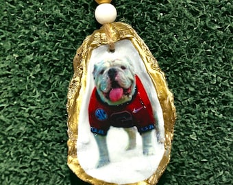 UGA Mascot Oyster Shell Ornament, Georgia Football Ornament, Keepsake, Present Topper, Gift for a Friend, Seashell Art, Gift for UGA Grad