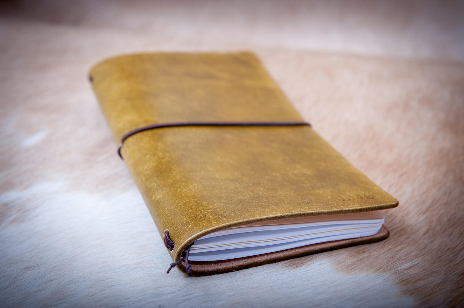 старая немецкая записная книжка. записная книжка ильзы. прикольный блокнот. старая записная книжка. исследование электронных записных книжек.