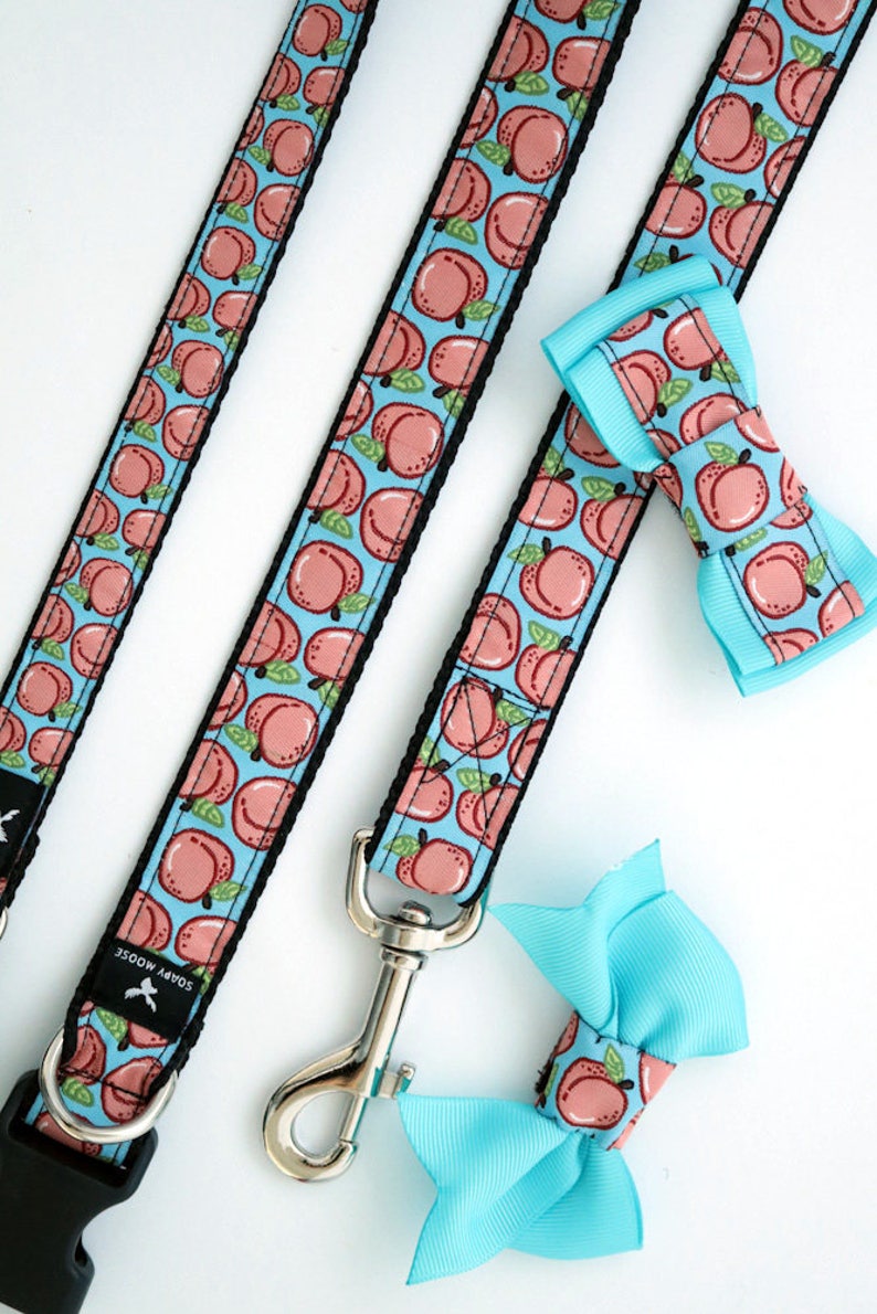PEACH Dog Collar Puppy Collar and Leash Dog Leash Hand Made Etsy