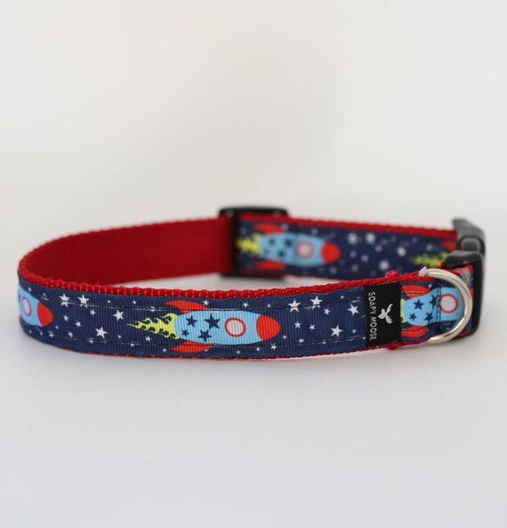 astro dog collar