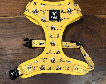 Bee Dog Harness, bees, Dog Harness, Cat harness, Yellow dog harness, Soft Dog harness, Adjustable Harness, honeybee, Australian