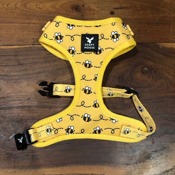 Bee Dog Harness, bees, Dog Harness, Cat harness, Yellow dog harness, Soft Dog harness, Adjustable Harness, honeybee, Australian