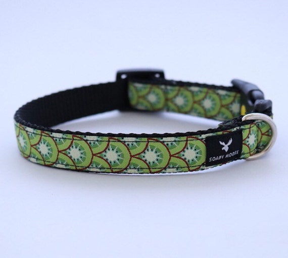 kiwi dog collar