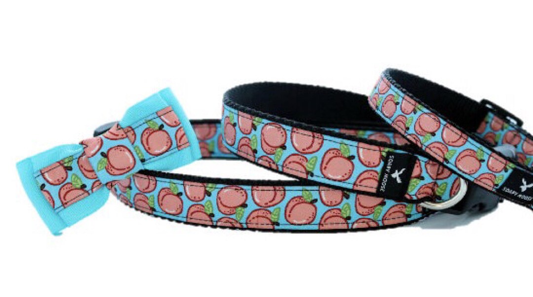 PEACH Dog Collar Puppy Collar and Leash Dog Leash Hand Made Etsy Australia