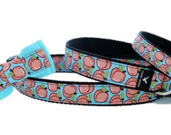 PEACH Dog collar, Puppy Collar and Leash, Dog Leash, Hand made in Australia, aqua dog collar, Fruit dog collar, Peaches Dog collar.